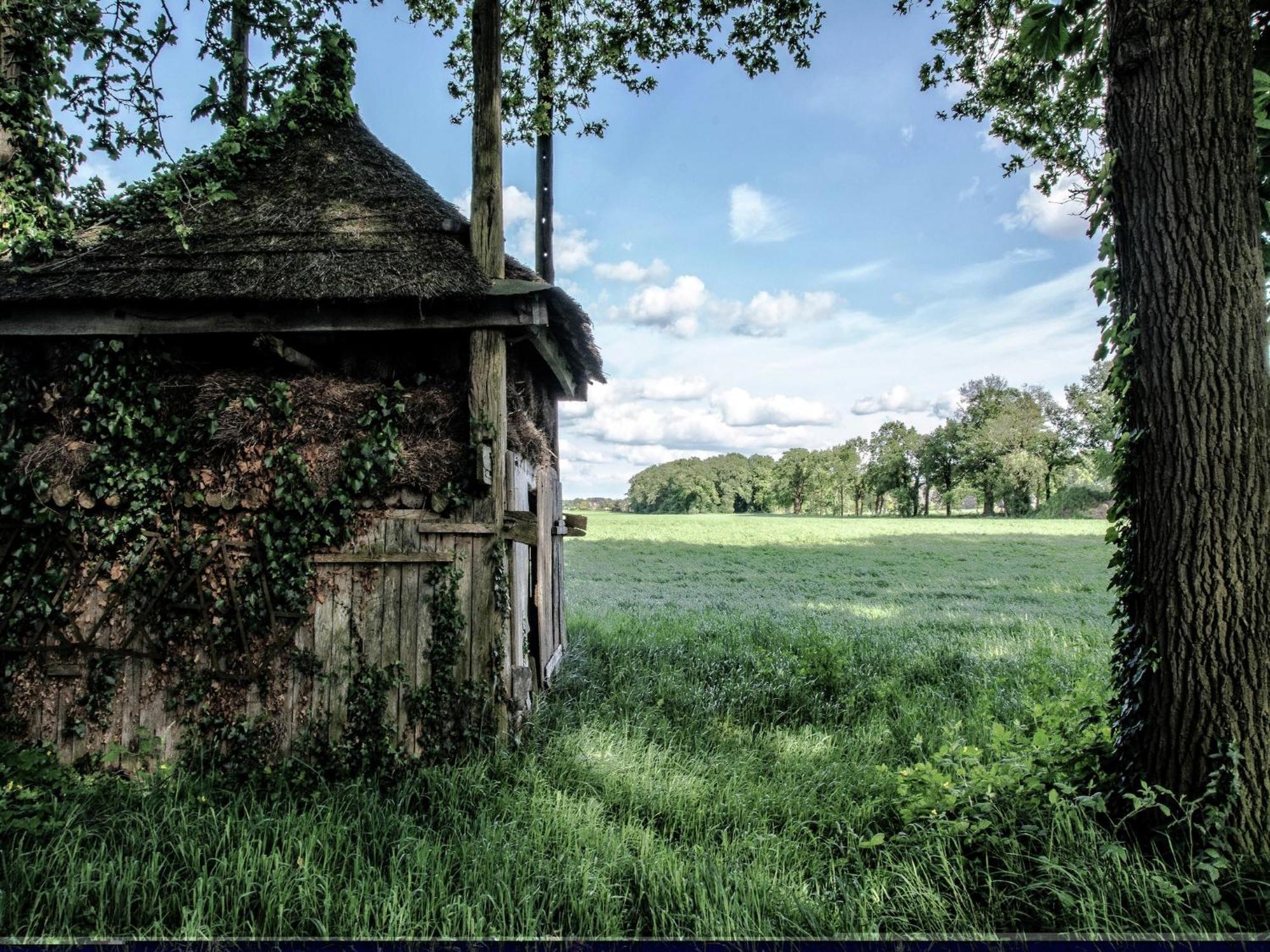 Quaint Farmhouse In Geesteren With Meadow View Buitenkant foto