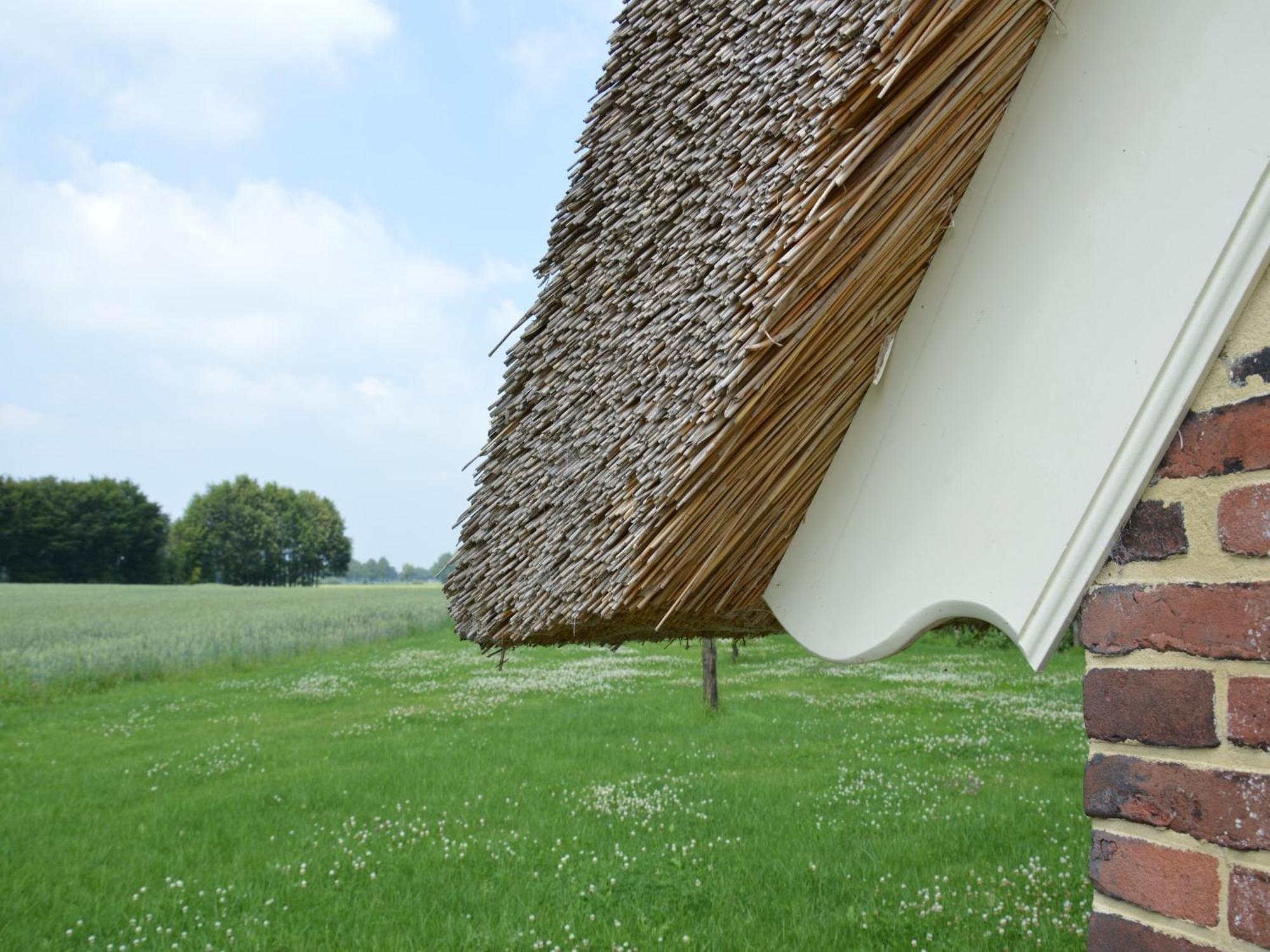 Quaint Farmhouse In Geesteren With Meadow View Buitenkant foto