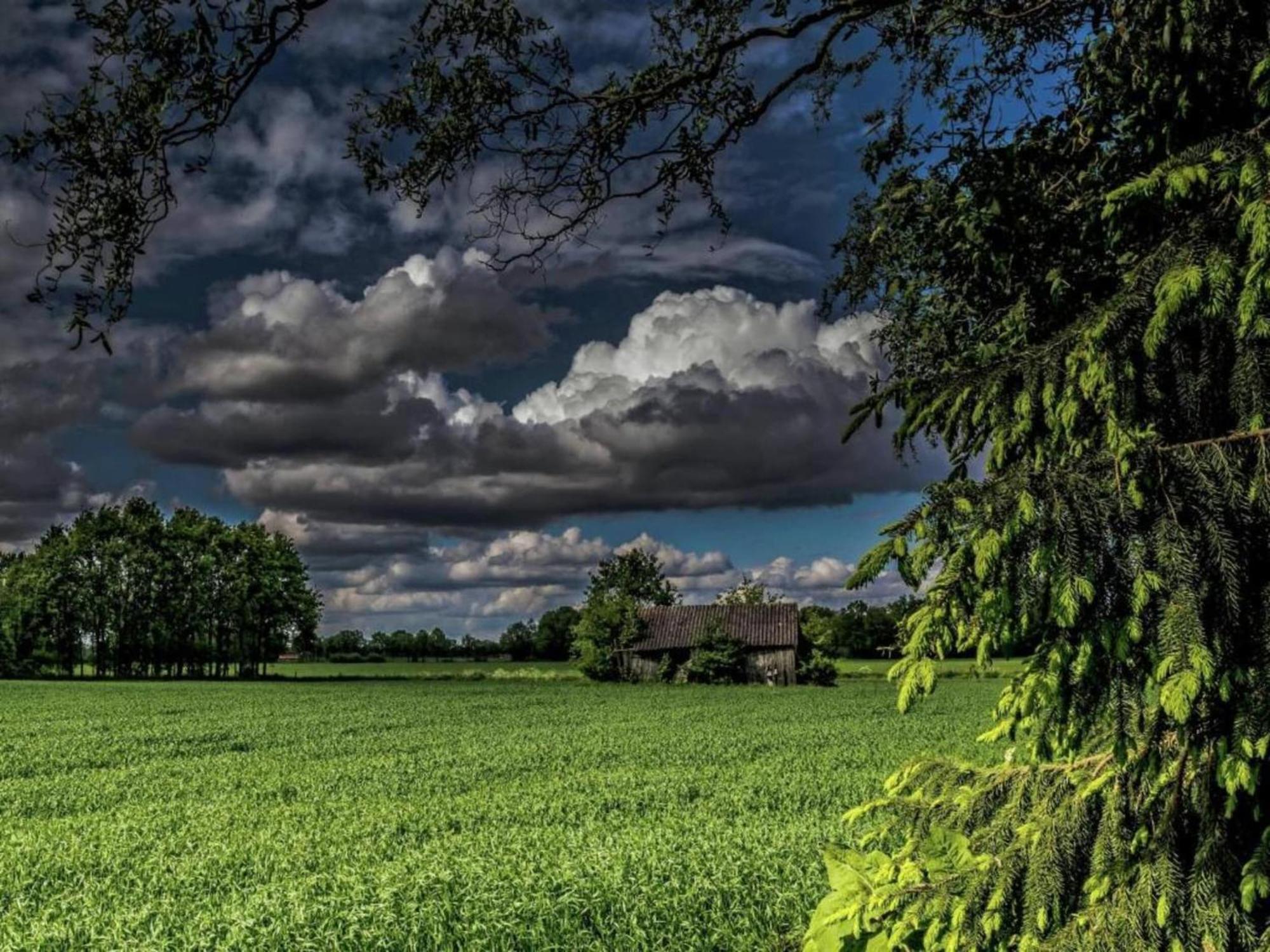 Quaint Farmhouse In Geesteren With Meadow View Buitenkant foto
