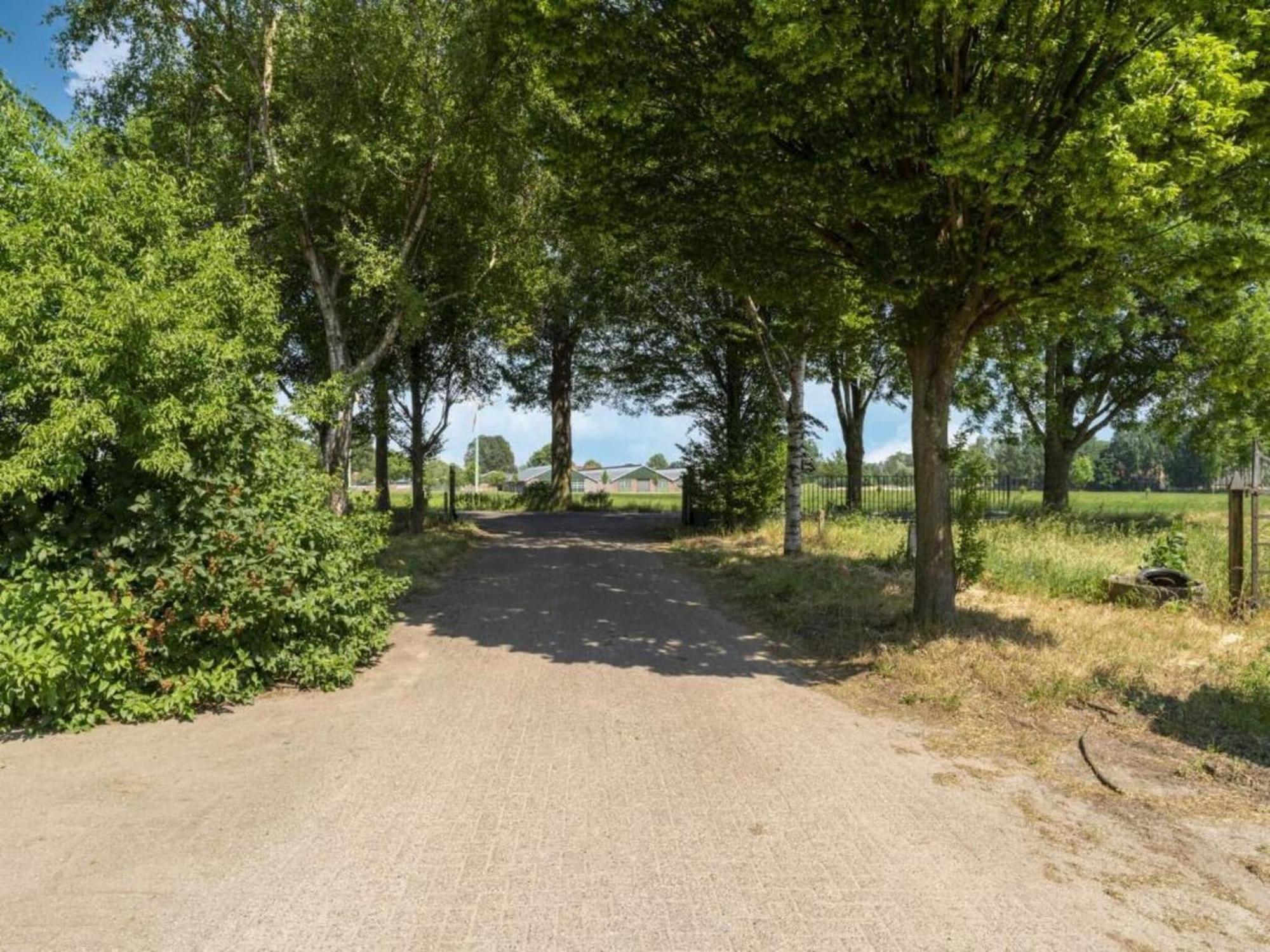 Quaint Farmhouse In Geesteren With Meadow View Buitenkant foto